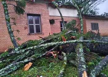 Fuerte temporal en Tobuna dejó viviendas dañadas, árboles caídos y un corte total del servicio eléctrico