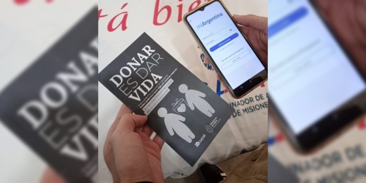DECISIÓN CONSENTIDA. En la plataforma Mi Argentina, los usuarios pueden gestionar y consultar su voluntad sobre la donación de órganos y tejidos.
