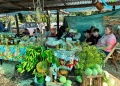 Todo listo para celebrar la 4ª Fiesta Colonial en el Valle Cuñá Pirú
