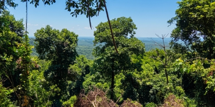 LA SELVA COMO ESCENARIO. Cada episodio mostrará recorridos por senderos, travesías en bicicleta, campamentos, monitoreo mediante cámaras trampa, observación de fauna silvestre y jornadas de restauración ecológica.