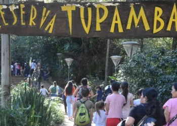 Apóstoles con buen número de visitantes y preparada para la Segunda Expo Dulce