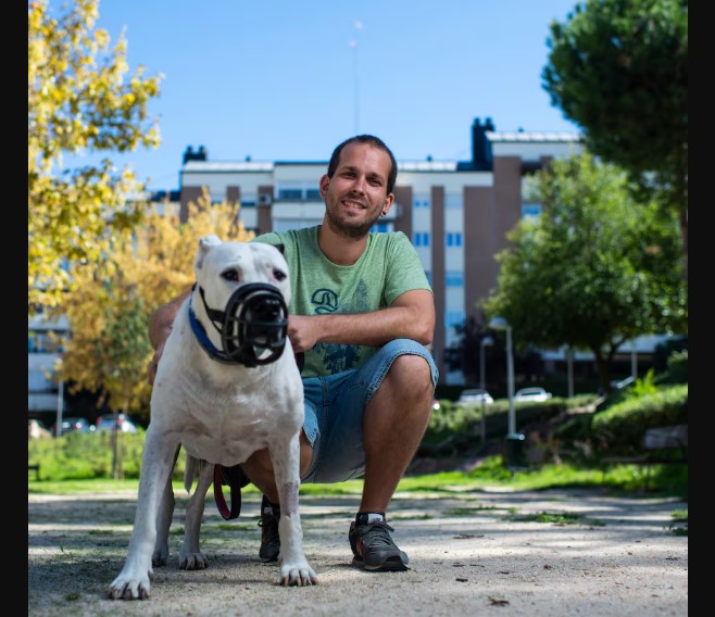 Veterinarios advierten que la ley de perros potencialmente peligrosos necesita reglamentación para aplicarse