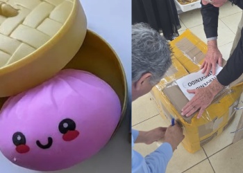 Operativo en Posadas por los Squeezy: retienen 4.000 juguetes y analizan su trazabilidad