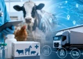 Implementan un sistema obligatorio para controlar medicamentos veterinarios