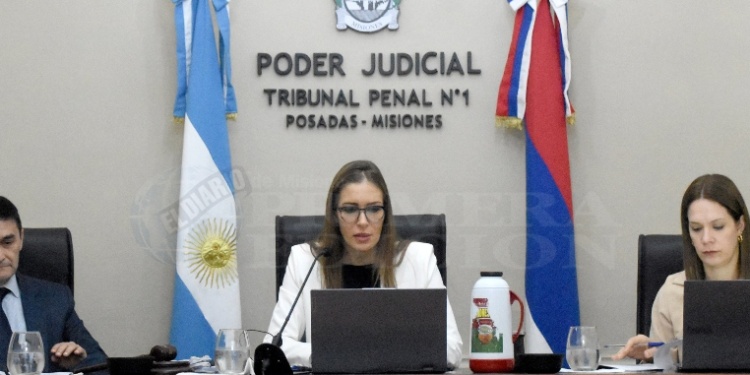 TRIBUNAL PENAL 1 DE POSADAS. Está presidido por la jueza Viviana Gladis Cukla e integrado por los vocales Gustavo Bernie y Carla Freitag.
