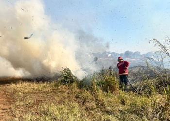 Más de 20 intervenciones de los Bomberos por incendios y emergencias provocadas por el viento en Misiones