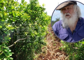 Productores yerbateros insisten con una ley provincial y piden una mesa de diálogo con la Iglesia