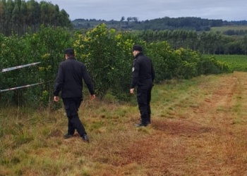 Una adolescente fue encontrada sin vida en una chacra de Campo Ramón