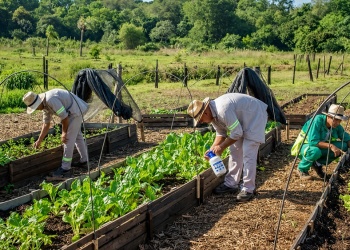 La fuerte suba de los fertilizantes ahoga la rentabilidad del productor