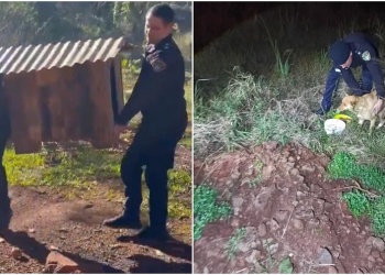 Rescataron animales en situación de vulnerabilidad en Oberá y Campo Viera
