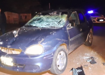 Chocó contra un caballo sobre la ruta 204 cerca de Candelaria