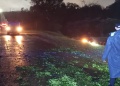 Un raído de yerba sobre el asfalto provocó un violento despiste en San Vicente