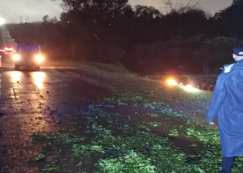 Un raído de yerba sobre el asfalto provocó un violento despiste en San Vicente
