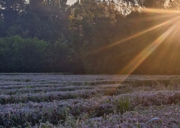 Junio dejó más lluvias y menos sol, pero el déficit hídrico aún es preocupante