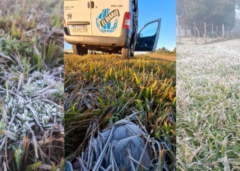Heladas frecuentes pero moderadas: advierten daños puntuales en pasturas y zonas bajas