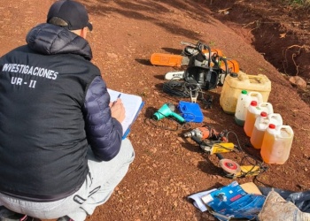 Recuperaron gran parte del botín robado a un secadero de té en Colonia Alberdi