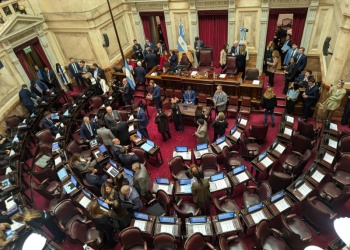 Con el quorum justo, el Senado inició la sesión con dudas en el proyecto de Propiedad Privada
