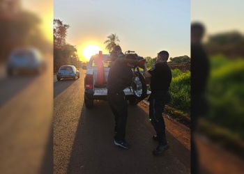 Recuperaron una motocicleta robada que había sido dejada en un lavadero de Posadas
