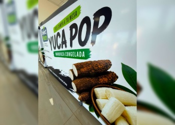 Capitales brasileños impulsan una nueva planta para industrializar mandioca en Colonia Aurora