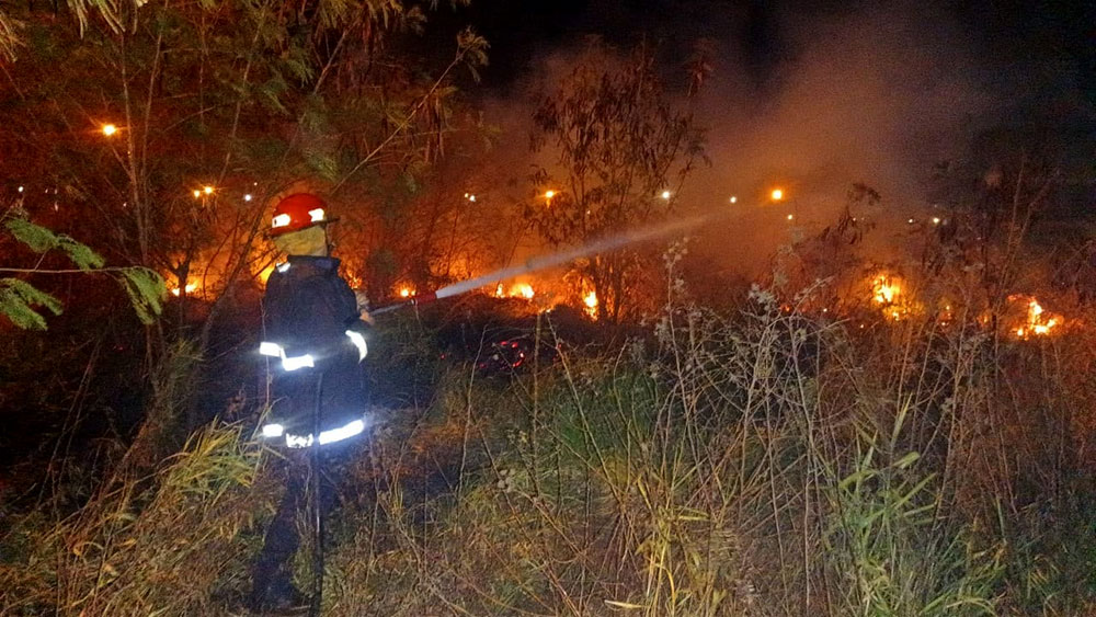 Alto riesgo de incendios: Misiones al límite por la combinación de heladas, sequía y viento