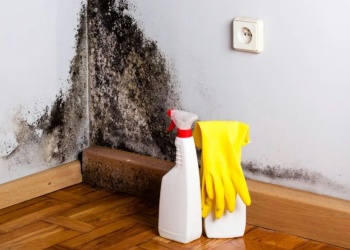 Algunos trucos para eliminar la humedad dentro de la casa