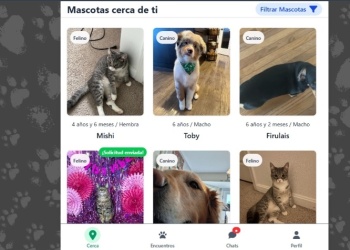 Desarrollan plataforma de adopción responsable
