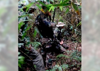 Hallaron restos óseos humanos en el Parque Nacional Iguazú