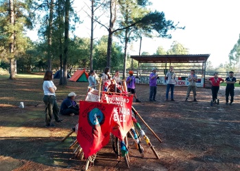 Niños, adolescentes y jóvenes coparon Bonpland