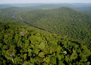 La Provincia busca aval nacional para vender créditos de carbono en mercados regulados