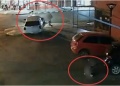 Buscan al conductor que huyó tras un siniestro vial que dejó tres heridos en Iguazú