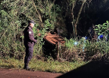 Una mujer sufrió lesiones leves tras despistar y volcar en Panambí