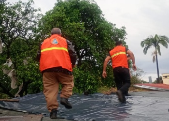 El granizo afectó a unas ochenta familias en distintas localidades