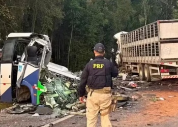 Tragedia en Brasil: un choque entre un colectivo y un camión dejó al menos 23 muertos