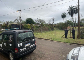 Un pitbull murió electrocutado y alertó a su dueño sobre un portón con corriente