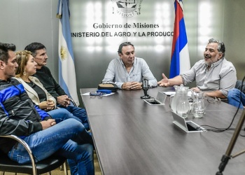 Avanza el proyecto de emergencia para fijar un precio mínimo para la hoja verde de yerba mate