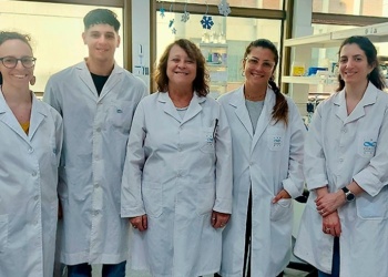 Desarrollan un test rápido para detectar el dengue en etapa inicial