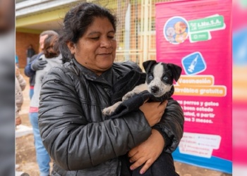 Las actividades del IMuSA continúan esta semana con operativos en distintos barrios de Posadas