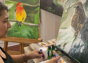 La importancia de la selva misionera a través del arte