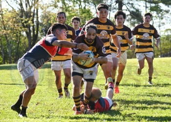 Rugby: Tacurú aplastó a  un débil Pay Ubre