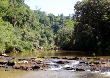 Jardín América: buscan reunir $7,5 millones para retomar el monitoreo de la fauna