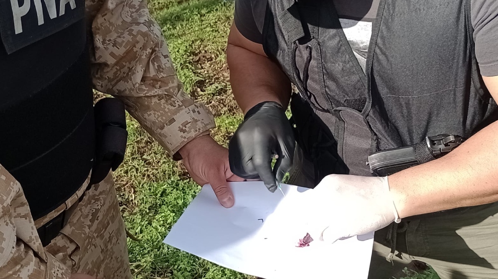 Prefectura secuestró más de 236 kilos de droga en San Javier y detuvo a dos personas