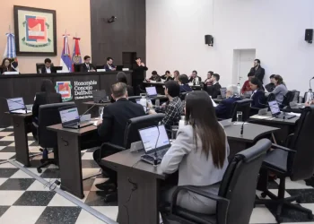 Posadas aprobó una ordenanza para regular el traslado de mascotas en colectivos