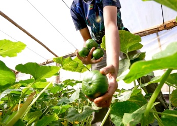 Posadas reunirá a referentes del agro en una cumbre internacional sobre producción sostenible