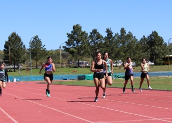 Atletismo: fiesta para el semillero con el Provincial