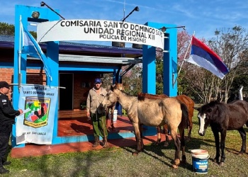 Robaron caballos en el paraje Aparicio Cué y lo recuperan a varios kilómetros