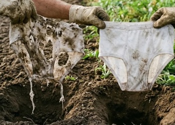 ¿Se puede medir la fertilidad del suelo con un calzoncillo? Un especialista del INTA explicó por qué el método es real