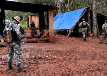Detectaron doce puestos de cazadores furtivos en plena selva misionera