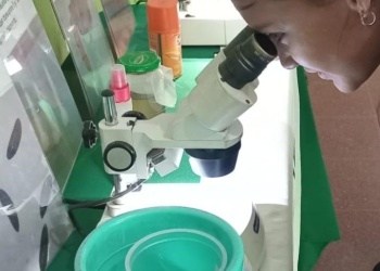 Más de 150 estudiantes se convirtieron en “detectives” de criaderos de mosquitos