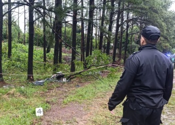 Fallecieron dos hombres tras despistar sobre la ruta provincial 6 en Roca