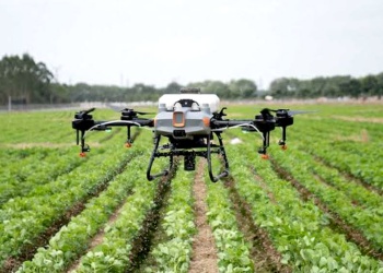 Las nuevas profesiones que serán clave en el futuro del agro misionero